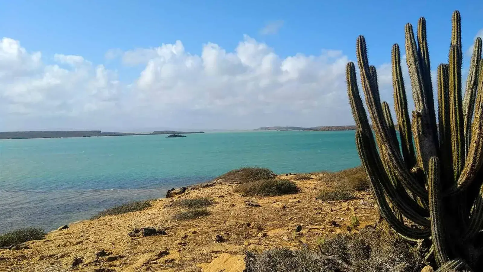 viajes3c, turismo, pasadias, transporte en ibagué, colombia